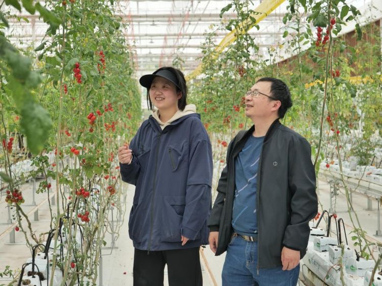 卢静向万州区农广校工作人员介绍番茄工厂生产情况1.jpg